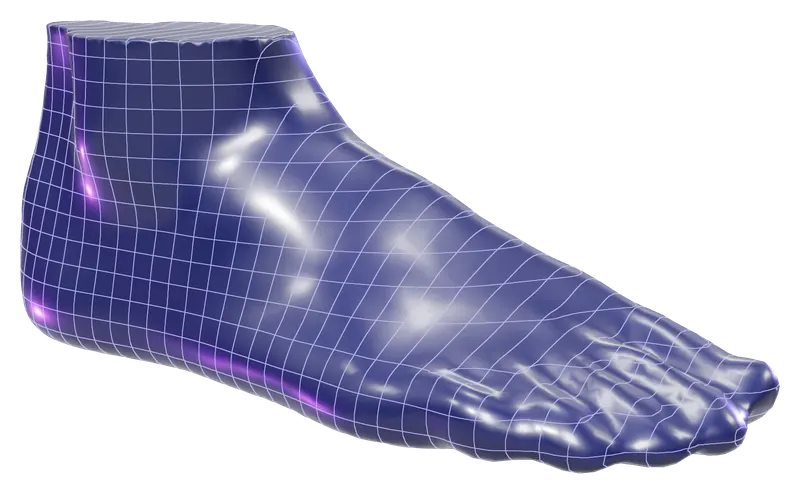 3D model of a foot reconstructed from smartphone photos